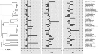 Evolutionary lability underlies drought adaptation of Australian shrubs along aridity gradients